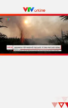 Indonesia huy động hơn 60.000 người chữa cháy rừng trong nhiều tháng, tiếp nhận hỗ trợ quốc tế