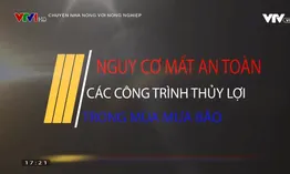 Chuyện nhà nông với nông nghiệp: Nguy cơ mất an toàn công trình thủy lợi mùa mưa bão