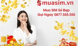 Bỏ túi ngay kinh nghiệm mua sim số đẹp online uy tín