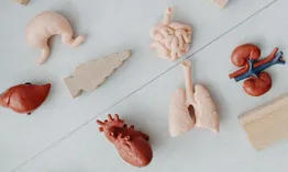 In 3D ngay trong cơ thể bằng sóng siêu âm