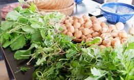 Phiên chợ hữu cơ ở Đà Lạt - Nơi kết nối những câu chuyện lành