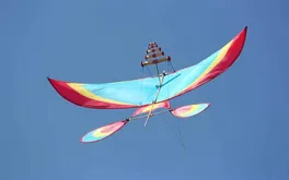 Diều sáo: Bản hòa tấu giữa gió và hồn quê Việt