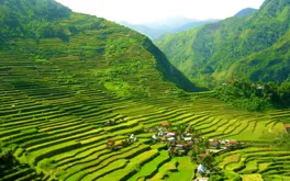 Trốn Tết bình yên: Top 10 tọa độ tĩnh lặng dành cho những tâm hồn muốn rời xa phố thị