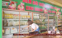 Nâng cao chất lượng và phát triển thị trường sản phẩm OCOP