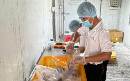 Triệt phá đường dây sản xuất hơn 50 tấn thịt nai, dê, nhím giả từ thịt heo tại TPHCM