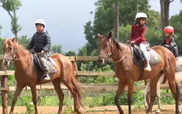 Mùa Xuân cưỡi ngựa giữa rừng thông Măng Đen