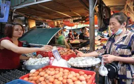 Cá nhân kinh doanh nhỏ lẻ vẫn phải đăng ký thuế dù không bắt buộc lập hộ kinh doanh