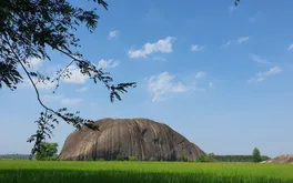 Đá chữ thập: Điểm check-in độc đáo giữa cánh đồng ở Phú Hòa - Đồng Nai