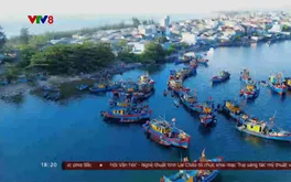 Chợ nổi Cửa Đại: Phiên chợ độc đáo trên cửa biển Quảng Ngãi thu hút du khách