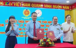 Tăng cường giám sát, quản lý thị trường yến sào