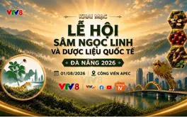 Lễ hội Sâm Ngọc Linh và Dược liệu quốc tế Đà Nẵng 2026: Nơi tinh hoa đại ngàn hội tụ