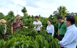 Đắk Lắk chuẩn bị Hội thi “Nhà nông đua tài” năm 2027