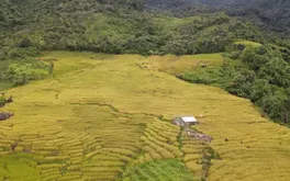 Bảo tồn văn hóa mở ra sinh kế bền vững cho người dân vùng cao