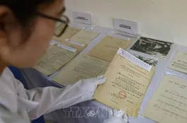 Góp phần đáp ứng yêu cầu phát triển khoa học, đổi mới sáng tạo, chuyển đổi số quốc gia