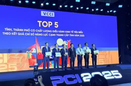 TP. Hồ Chí Minh đứng đầu Chỉ số Hiệu quả Kinh tế tư nhân