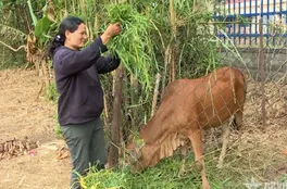 Nguồn vốn chính sách - “điểm tựa” của đồng bào dân tộc thiểu số