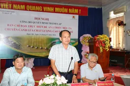 Đề án 1 triệu ha lúa: Khi chính quyền cấp xã trở thành 'nhạc trưởng' trên cánh đồng
