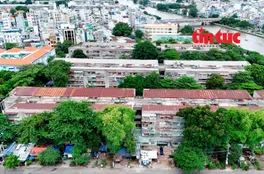 TP Hồ Chí Minh yêu cầu hoàn thành kiểm định chung cư cũ trước ngày 31/7
