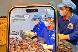 Cà Mau: Đặt kỳ vọng vào chuyển đổi số để thúc đẩy tăng trưởng