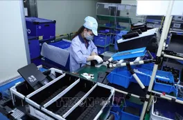 Đông Nam Á lập kỷ lục thu hút vốn FDI nhờ làn sóng dịch chuyển chuỗi cung ứng