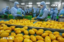 Mỹ thúc đẩy xuất khẩu nông sản sang Việt Nam