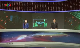Nhịp đập thể thao | 11/6/2025