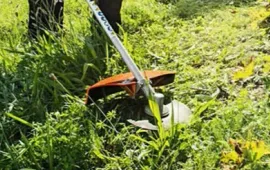 Rủi ro tai nạn lao động từ máy cắt cỏ