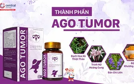 Bạch Hoa Xà Thiệt Thảo - Dược liệu quý trong AGO TUMOR hỗ trợ cải thiện u nang, u xơ tử cung