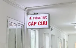 Cụ ông suýt mất mạng vì vết cắn nhỏ khi đi rừng