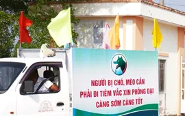 Đắk Lắk ghi nhận ca tử vong nghi do bệnh dại tại huyện Ea H’Leo