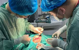 Bé trai ở Tuyên Quang bị chó cắn rách mặt, nhập viện khẩn cấp