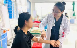 Cô gái nguy kịch do bị ong bắp cày đốt