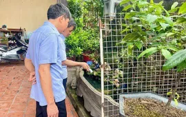 Hà Nội ra quân phòng chống sốt xuất huyết, hưởng ứng Ngày ASEAN lần thứ 15