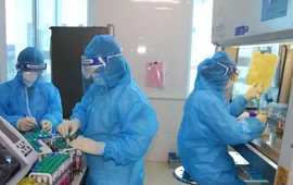 Hà Nội: Sởi giảm nhẹ, COVID-19 và tay chân miệng tăng rải rác