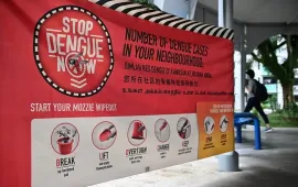 Singapore khuyến cáo người dân cảnh giác với dịch sốt xuất huyết