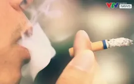 Sử dụng thuốc lá gây ra hơn 100.000 ca tử vong mỗi năm tại Việt Nam