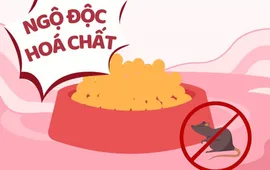 Cảnh giác trước nguy cơ ngộ độc thuốc và hóa chất ở trẻ em