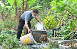 Chủ động phòng sốt xuất huyết: Mỗi nhà 10 phút, cộng đồng an toàn