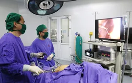 Ngày Sức khỏe Tiêu hóa Thế giới 2025: Nuôi dưỡng hệ tiêu hóa - Bồi đắp sự phát triển