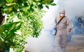 Phản ánh điểm nguy cơ sốt xuất huyết qua ứng dụng của ngành Y tế