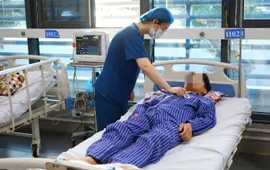 4 người nhập viện sau khi ăn nấm hái trong rừng