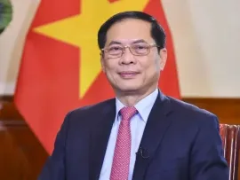 Vietnam-Australia Comprehensive Strategic Partnership develops strongly: Ambassador