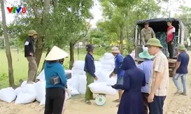 Quảng Bình thắng lợi kép vụ Đông - Xuân 2025