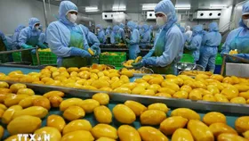 Fruit, vegetable exports post successive breakthroughs