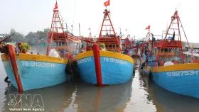 Dong Thap tightens control of fishing fleet to combat IUU fishing
