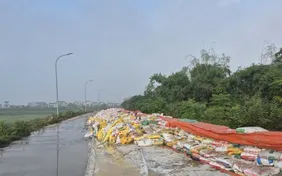 Bão số 10 và mưa lũ sau bão số 10, số 11 gây ra 76 sự cố đê điều