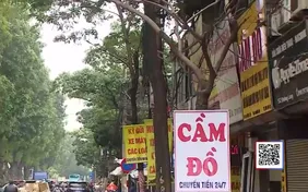 Cây xanh oằn mình “gánh” đèn trang trí, biển quảng cáo