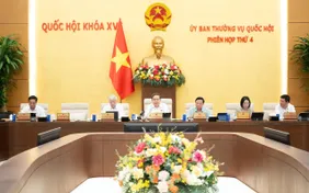 Không làm ảnh hưởng đến môi trường khi thực hiện dự án đô thị lấn biển