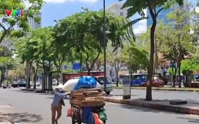 Nhiệt độ ở Hà Nội, TP Hồ Chí Minh có thể tăng hơn 3 độ C vào cuối thế kỷ