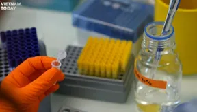 France trials head and neck cancer vaccine